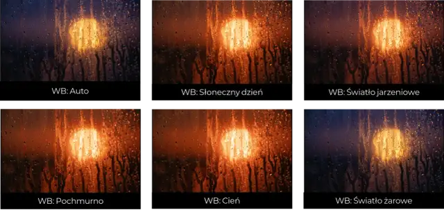 Jak zrobić zdjęcie? Opanuj światło, kompozycję i ostrość!