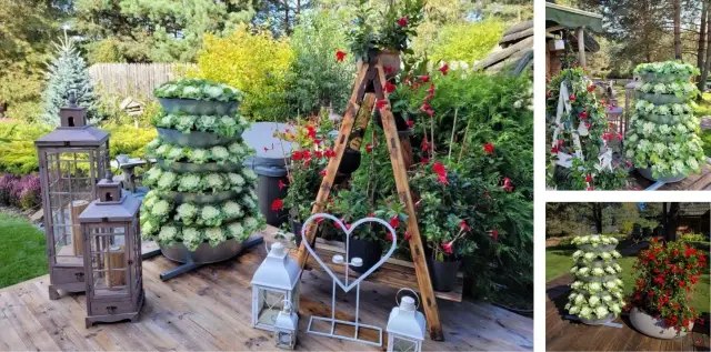 Twój kwietnik kaskadowy DIY: Stwórz zieloną oazę na balkonie!