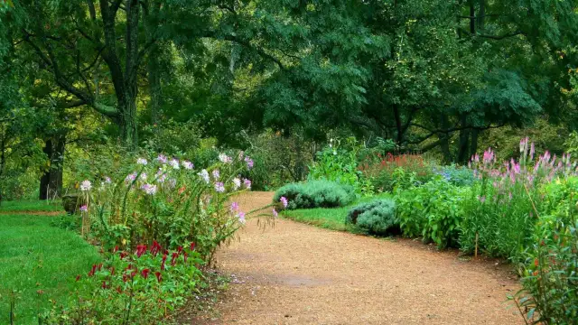 Co posadzić wzdłuż ścieżki? Wybierz rośliny na cały rok!