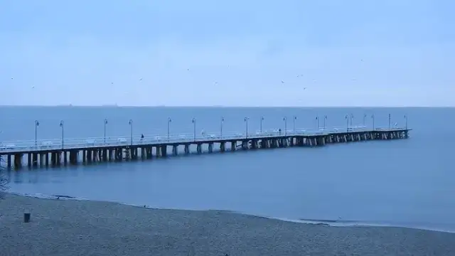 "Żółte kalendarze": Czy znasz morza brzeg? Tekst, historia, symbolika