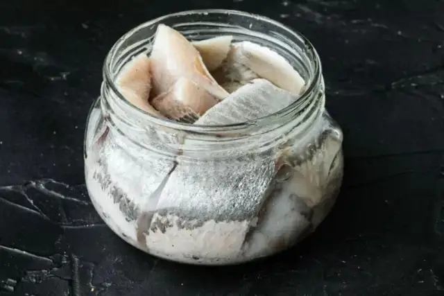 Czy pies może jeść śledzie w oleju? Sprawdź ryzyko dla zdrowia psa