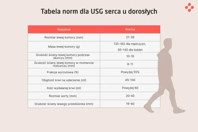 Tabela norm dla USG serca u dorosłych: rozmiar, masa, grubości ścian, frakcja wyrzutowa, objętość krwi na uderzenie i ilość wydalanej krwi.