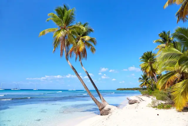 Rajska plaża z palmami i turkusową wodą. Idealne miejsce na wakacje, zanim nadejdzie sezon huraganów na Karaibach.