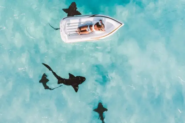 Kobieta na dmuchanej łodzi w turkusowej wodzie, a pod nią pływają rekiny. Czy na Zanzibarze są rekiny? Tak, i to całkiem blisko!
