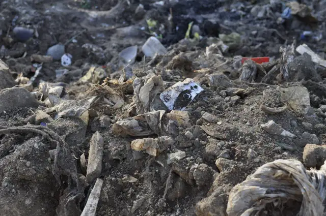 Zanieczyszczenia gleby: Co nam grozi i jak chronić ziemię?