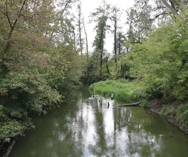 Nad jaką rzeką leży Lublin? Odkryj tajemnice Bystrzycy