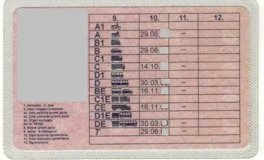 Ile kosztuje prawo jazdy na tira z naczepą? Sprawdź ukryte wydatki