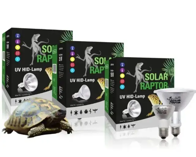 Najlepsza żarówka dla żółwia: Jak zapewnić zdrowie i komfort?