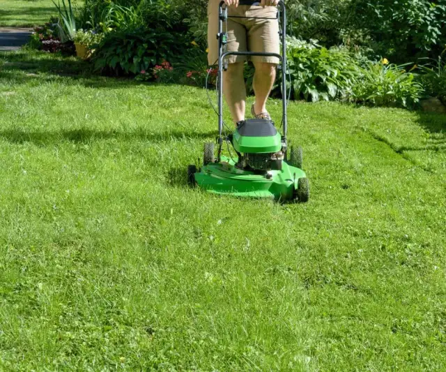 Czy można kosić mokrą trawę kosiarką spalinową? Ryzyko i skutki