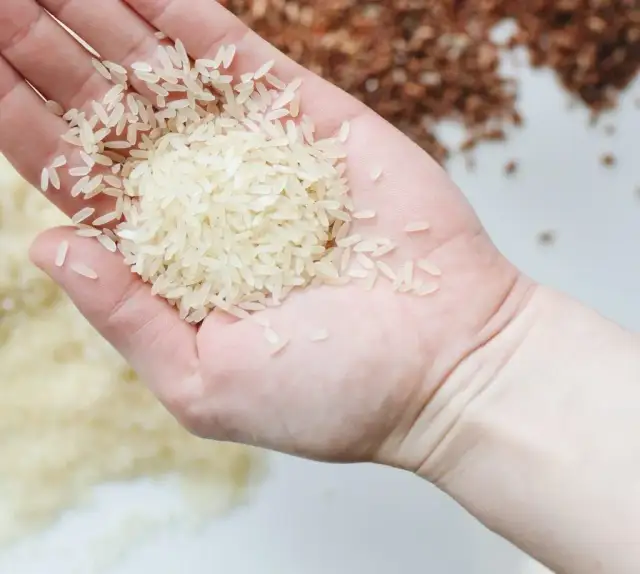 Ile ryżu na litr zupy? Sprawdź idealne proporcje do zupy