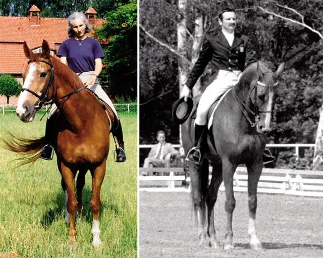 Legendy polskiego jeździectwa: historie, które zmieniły sport na zawsze