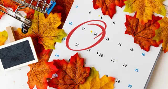 Ciekawostki o nietypowych świętach obchodzonych w listopadzie