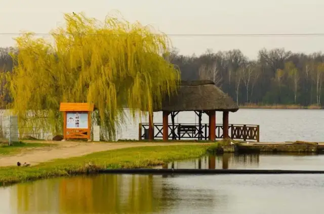 Łowisko Pawłowice: Wszystko, co musisz wiedzieć o wędkowaniu