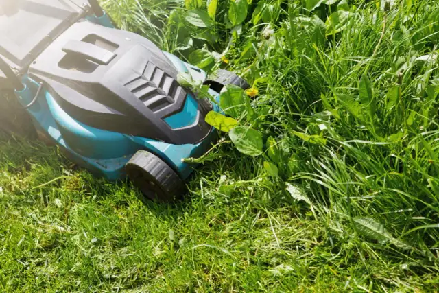 Nóż w kosiarce jaki gwint - uniknij błędów przy wymianie noża