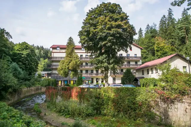 Sanatorium Malwa Polanica-Zdrój: Leczenie, Cennik, Opinie