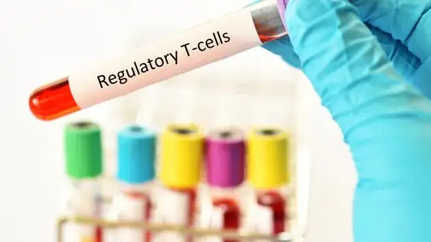 Podwyższone płytki krwi w ciąży: Co to znaczy i czy groźne?