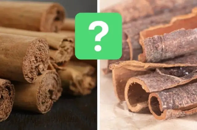 Cynamon na ślimaki: Mit czy skuteczny trik? Poznaj prawdę!