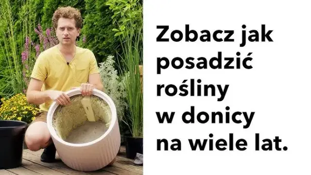 Jak skutecznie sadzić w donicach z wkładem i uniknąć błędów