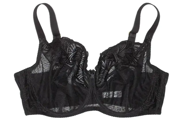 Ewa Bien bielizna: Luksus, idealne dopasowanie i opinie