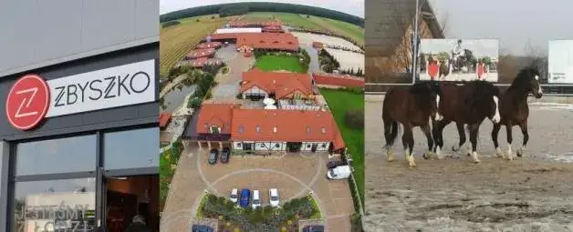 Stadnina Zbyszko: Kontrowersje, historia i oferta dla miłośników koni