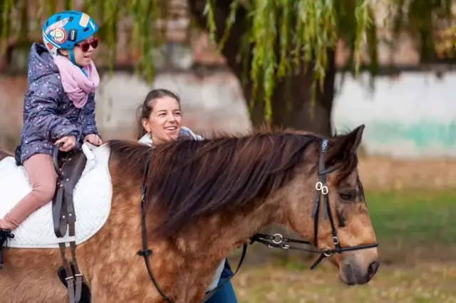 Najlepsze stadniny koni w Ełku - jazda konna i hipoterapia dla każdego
