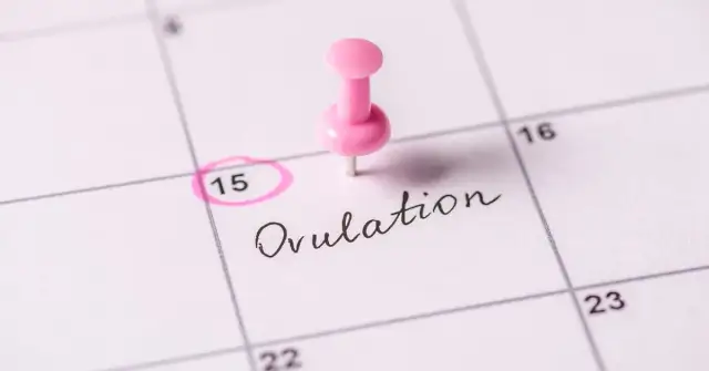 Jak obliczyć owulację kalkulator - proste kroki dla każdej kobiety