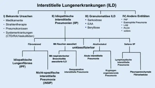 Lungenerkrankungen diagnostik: Wichtige Verfahren zur Früherkennung