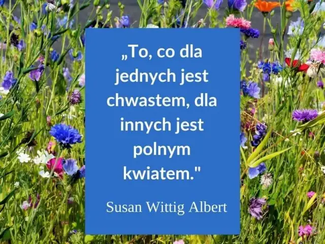 Najbardziej inspirujące cytaty i aforyzmy na miłego dnia, które poprawią humor