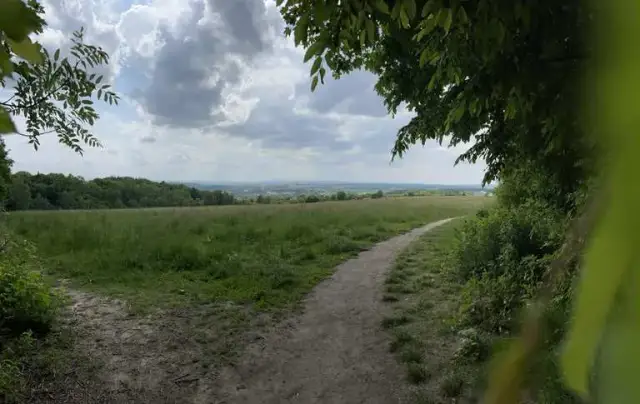 Las Wolski trasy rowerowe - odkryj różnorodność i piękno tras