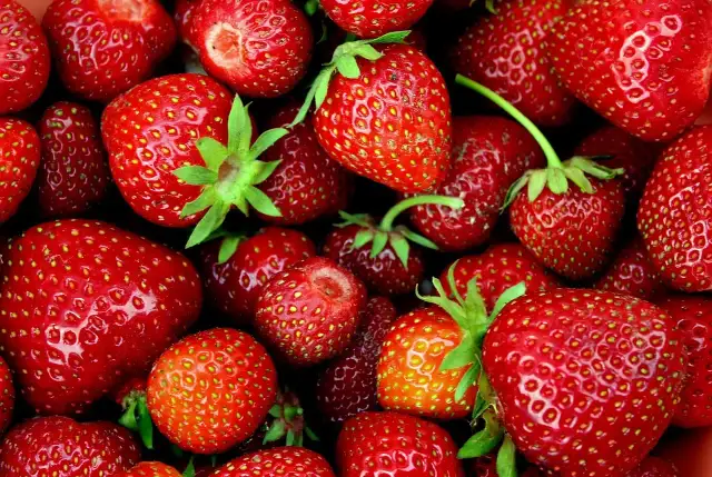 Truskawki dla kota: Bezpieczny przysmak czy ukryte ryzyko?