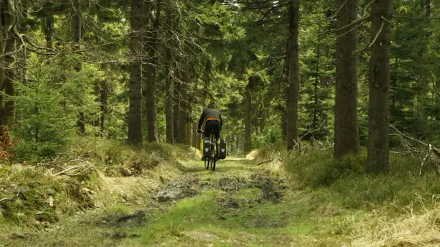 Góry Sowie na rowerze: Jak zaplanować idealną wycieczkę?