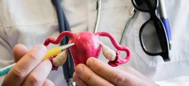 Jakie endometrium w owulacji? Klucz do udanej implantacji