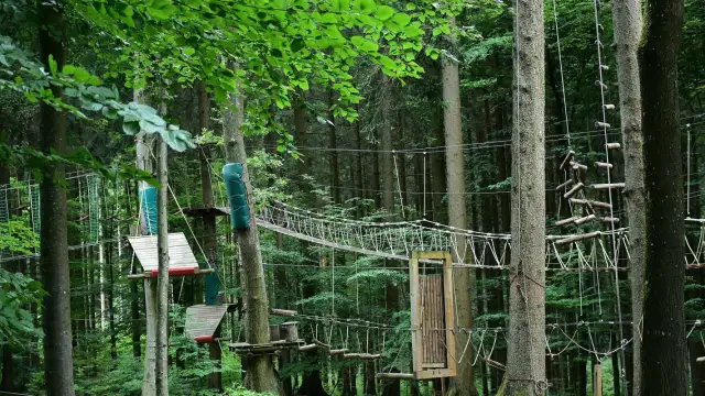 Park linowy w lesie z mostkami, drabinkami i platformami między drzewami.