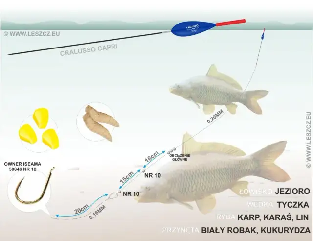 Marcepan w wędkarstwie: Tajna broń na karpie i leszcze?