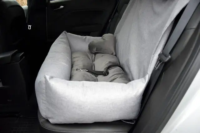 FOTELIK DLA PSA: Jak wybrać bezpieczne zabezpieczenie na podróż?