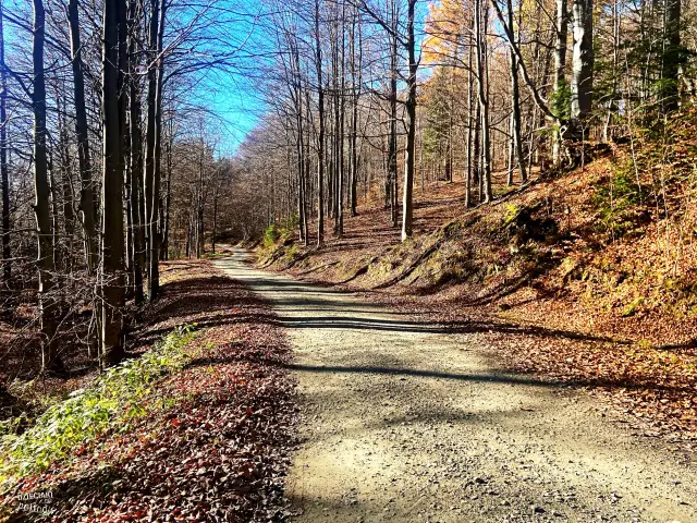 Bacówka na Muńcole: Przewodnik po Beskidzkim Azylu z Widokiem na Tatry