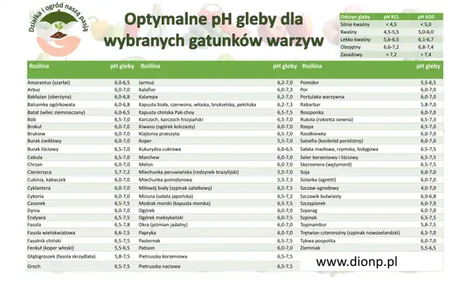 Tabela optymalnego pH gleby dla wybranych gatunków warzyw. Znajdziesz tu informacje o preferowanym odczynie gleby dla pomidorów, ogórków i wielu innych roślin.