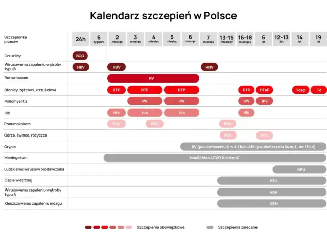 Szczepionki na NFZ czy skojarzone: co wybrać dla swojego dziecka?