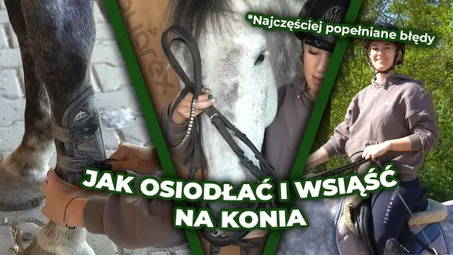Jak wsiąść na konia: proste kroki, które zapewnią bezpieczeństwo