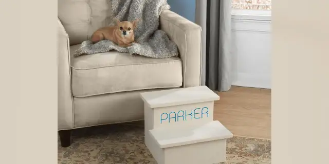 Jak zrobić schody dla psa - łatwe kroki, aby zapewnić bezpieczeństwo