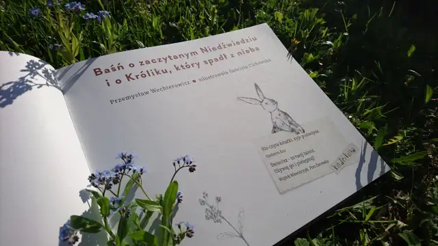 Otwarta książka z tytułem "Baśń o zaczytanym Niedźwiedziu i o Króliku, który spadł z nieba" leży na trawie wśród niezapominajek.