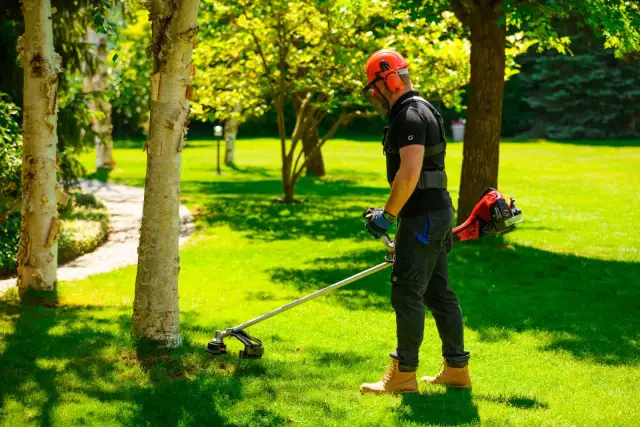 Mężczyzna w kasku i ochronach słuchu pokazuje, jak kosic kosa spalinowa, pracując na zielonym trawniku w słoneczny dzień.