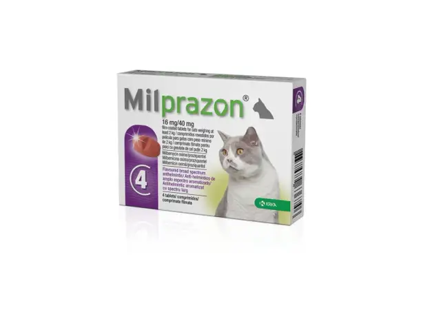 Gdzie kupić milprazon dla kota: najlepsze apteki i ceny na rynku