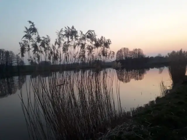 Słupia łowisko: idealne miejsce na wędkarską przygodę bez stresu