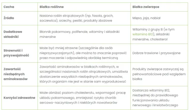 Białko roślinne czy zwierzęce? Pełne porównanie dla Twojej diety