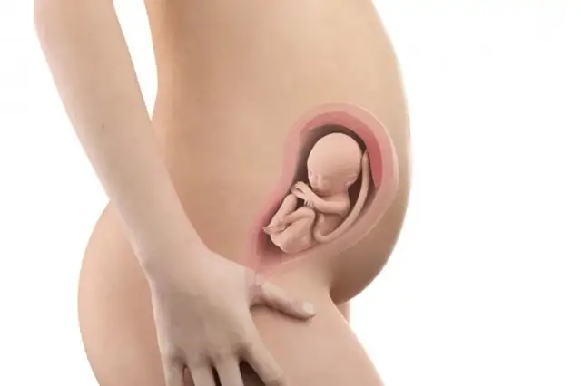 27 tydzień ciąży jak wygląda dziecko - zaskakujące zmiany w rozwoju