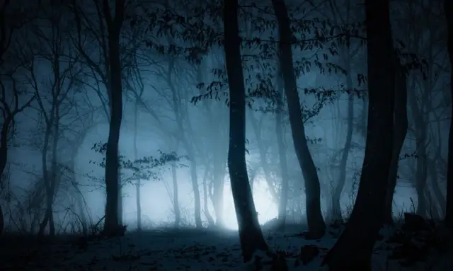 The Forest wymagania: Czy Twój PC jest gotowy na las?