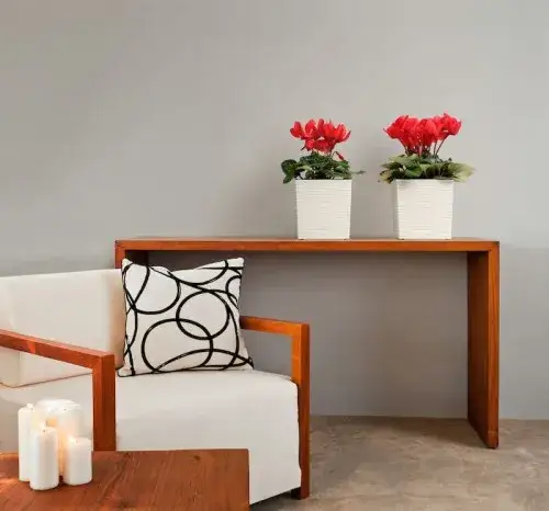 Jaka doniczka do juki? Wybierz idealną dla zdrowego wzrostu