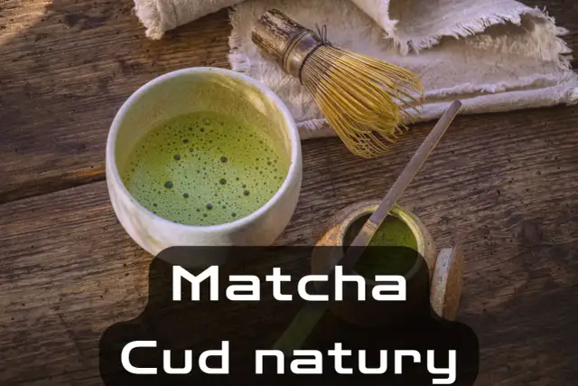 Co to jest matcha? Odkryj jej właściwości i korzyści zdrowotne