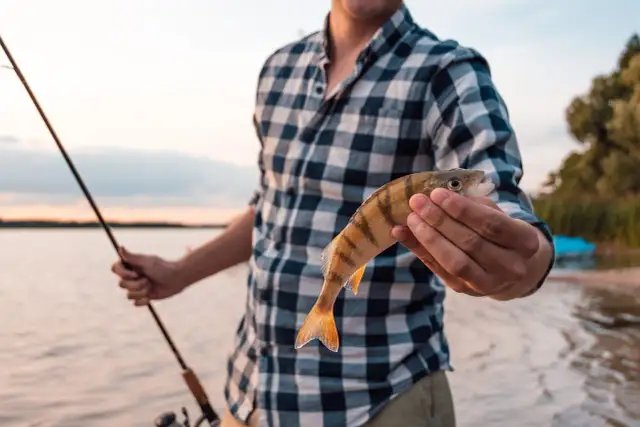 Jaka wędka na spławik? Wybierz idealną na udane połowy!